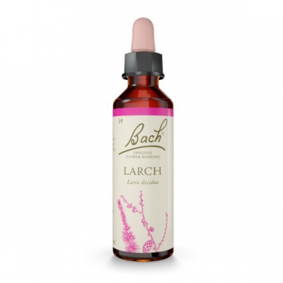 Bach Larch 20ml